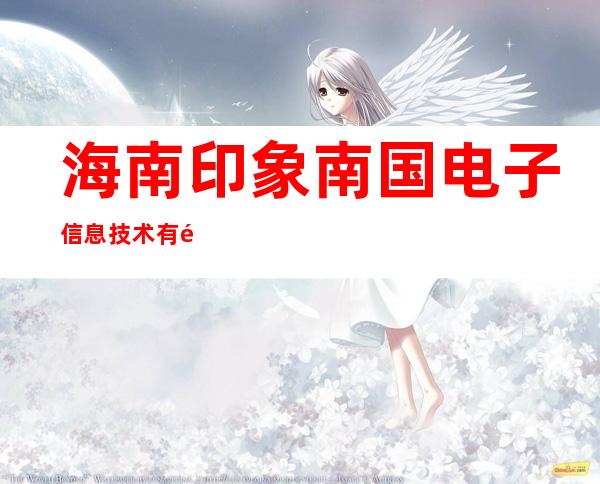 海南印象南国电子信息技术有限公司